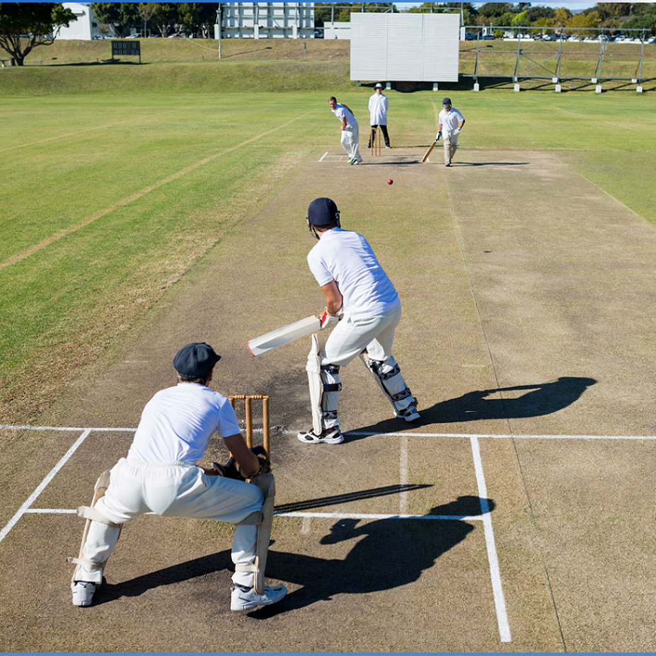 競技人口 | 濱田製作所